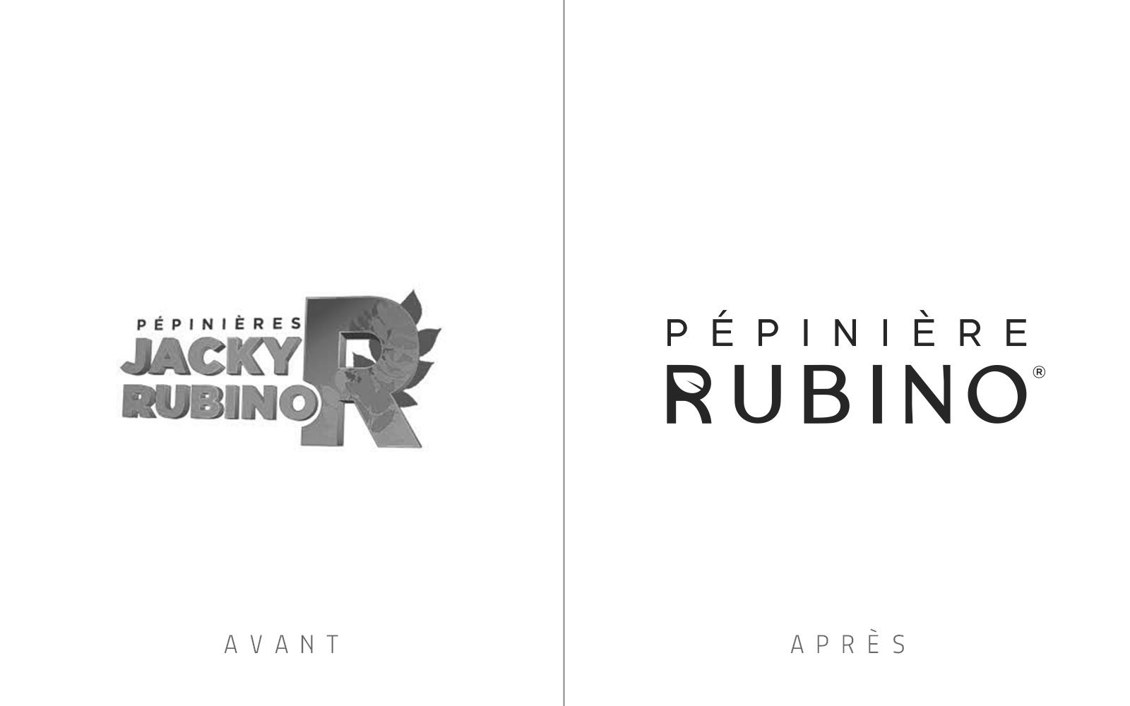 Graphiste et travail creatif en atelier